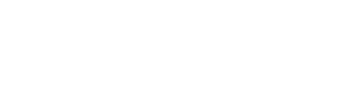 Holand Automotive Group logo