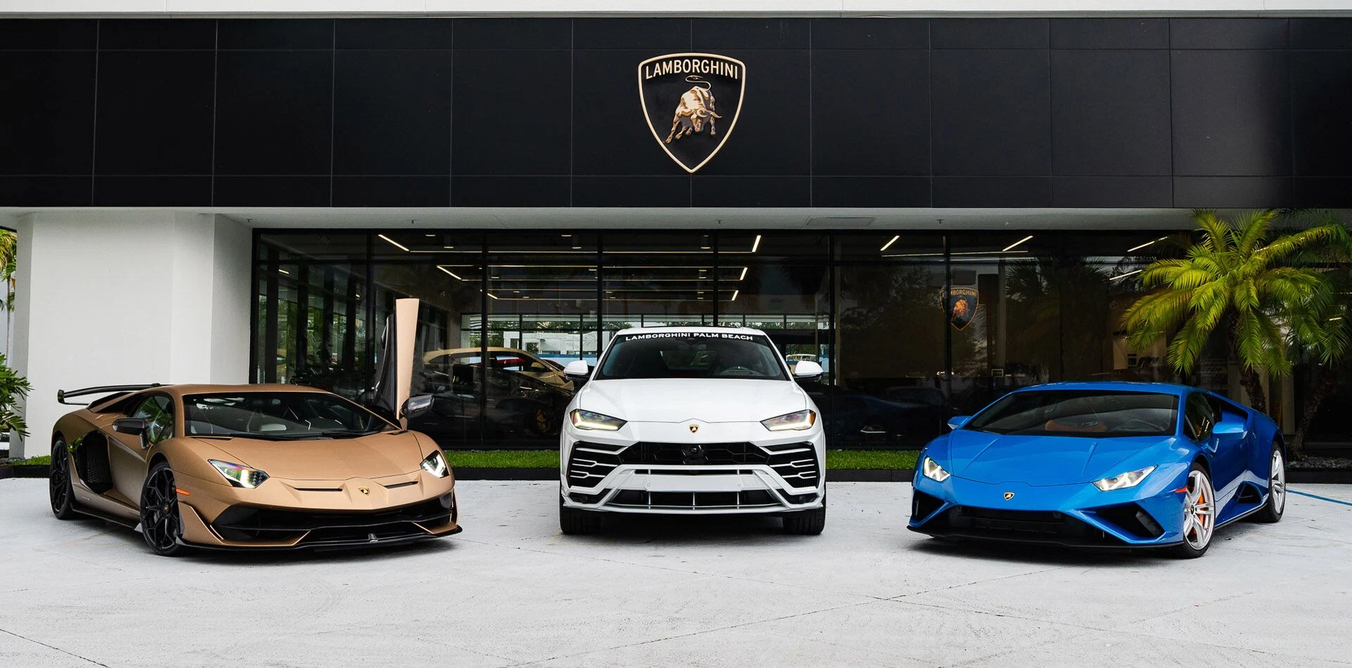 Front of the Lamborghini Palm Beach showroom with its gold Lamborghini crest, a bronze sports car, a white SUV and a blue sports car outside the glass facade.