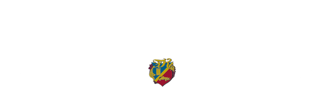 Auto Salon Singen GmbH logo