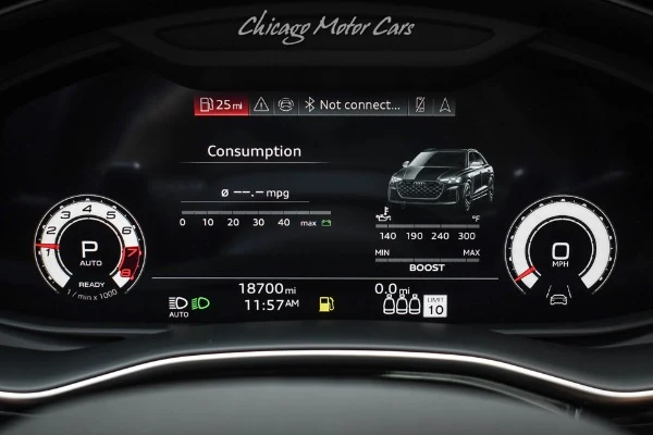 2025 Audi RS Q8 performance (4M), 13/20