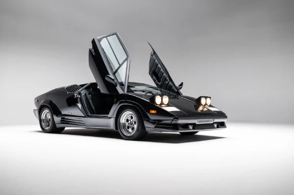 1989 Lamborghini Countach 25th Anniversary, 2/20