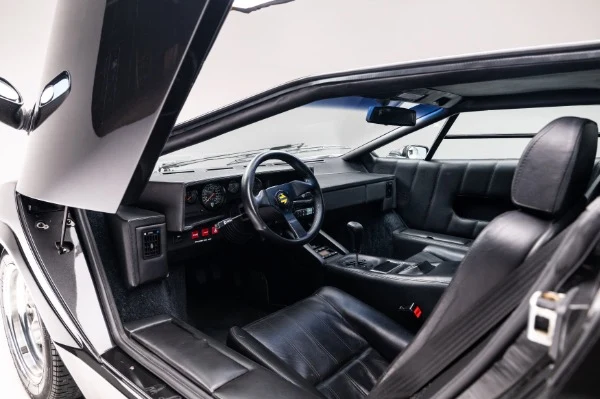 1989 Lamborghini Countach 25th Anniversary, 14/20