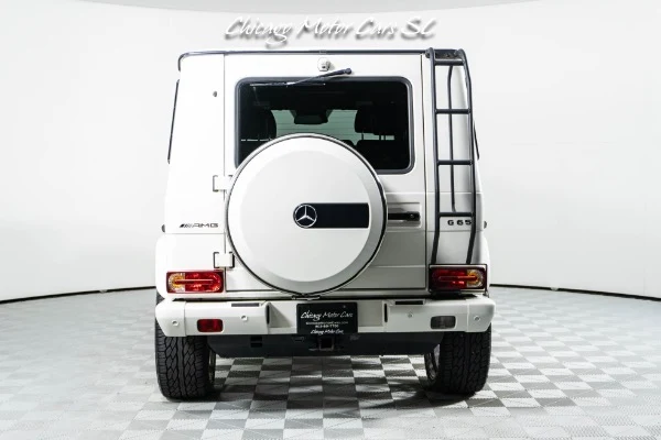 2018 Mercedes-Benz G 65 AMG (W463), 13/20