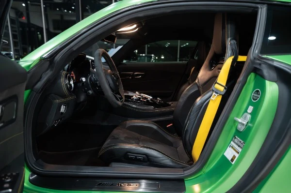 2018 Mercedes-Benz AMG GT R, 7/20