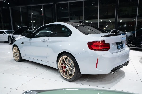2020 BMW M2 CS (F87), 2/30