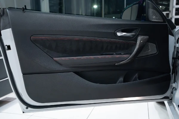 2020 BMW M2 CS (F87), 5/30