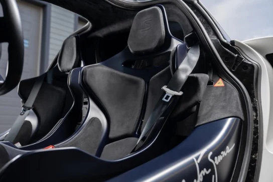2019 McLaren Senna, 29/30
