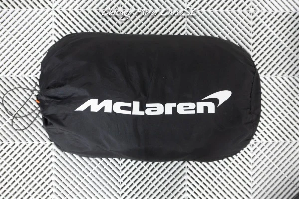2019 McLaren Senna, 29/30