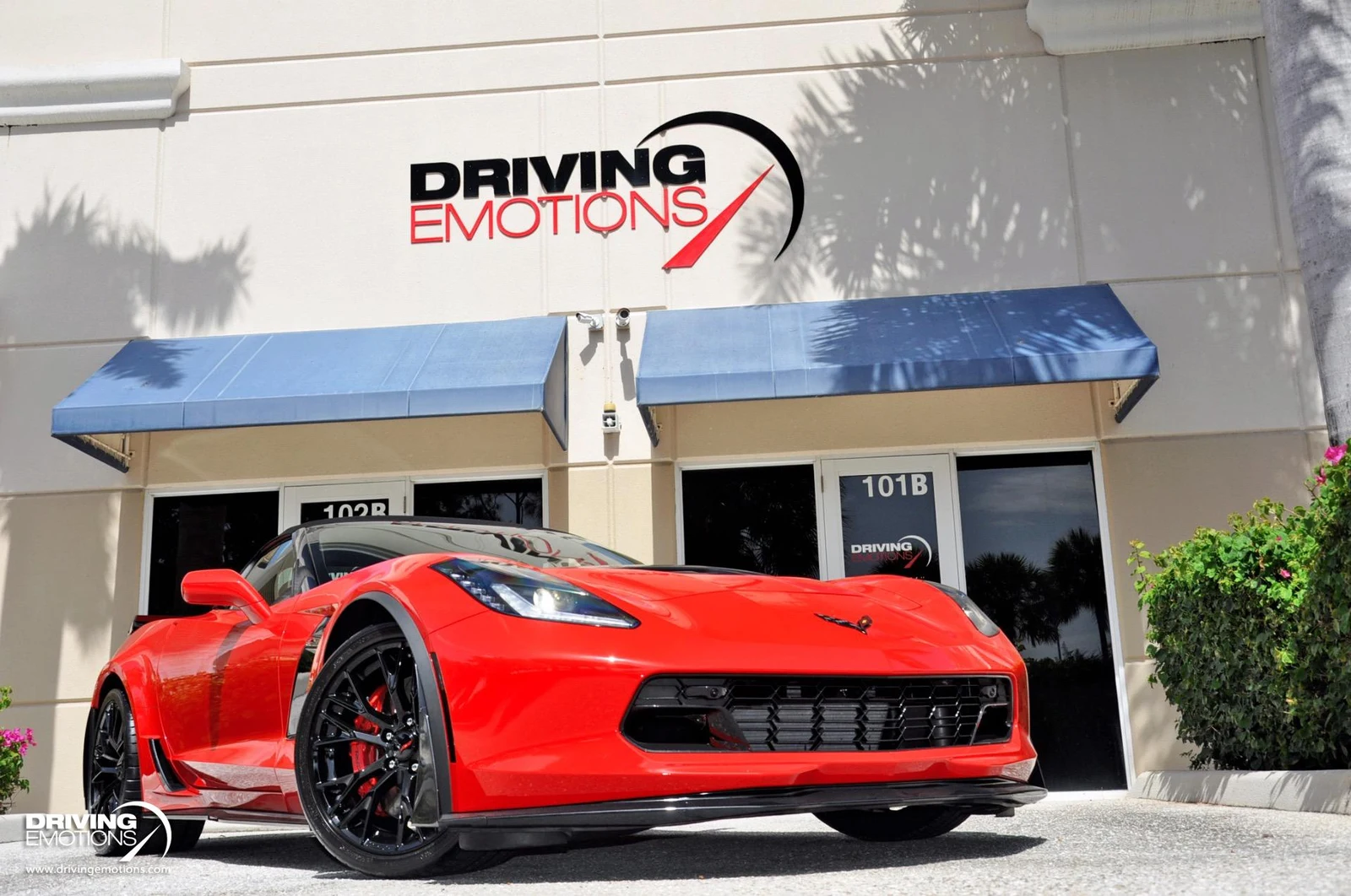 2019 Chevrolet Corvette Z06 Convertible 3LZ (C7), 13/20