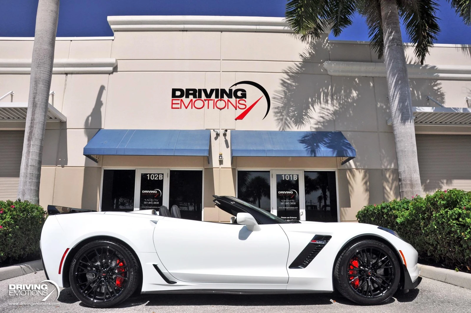2019 Chevrolet Corvette Z06 Convertible 3LZ (C7), 19/20