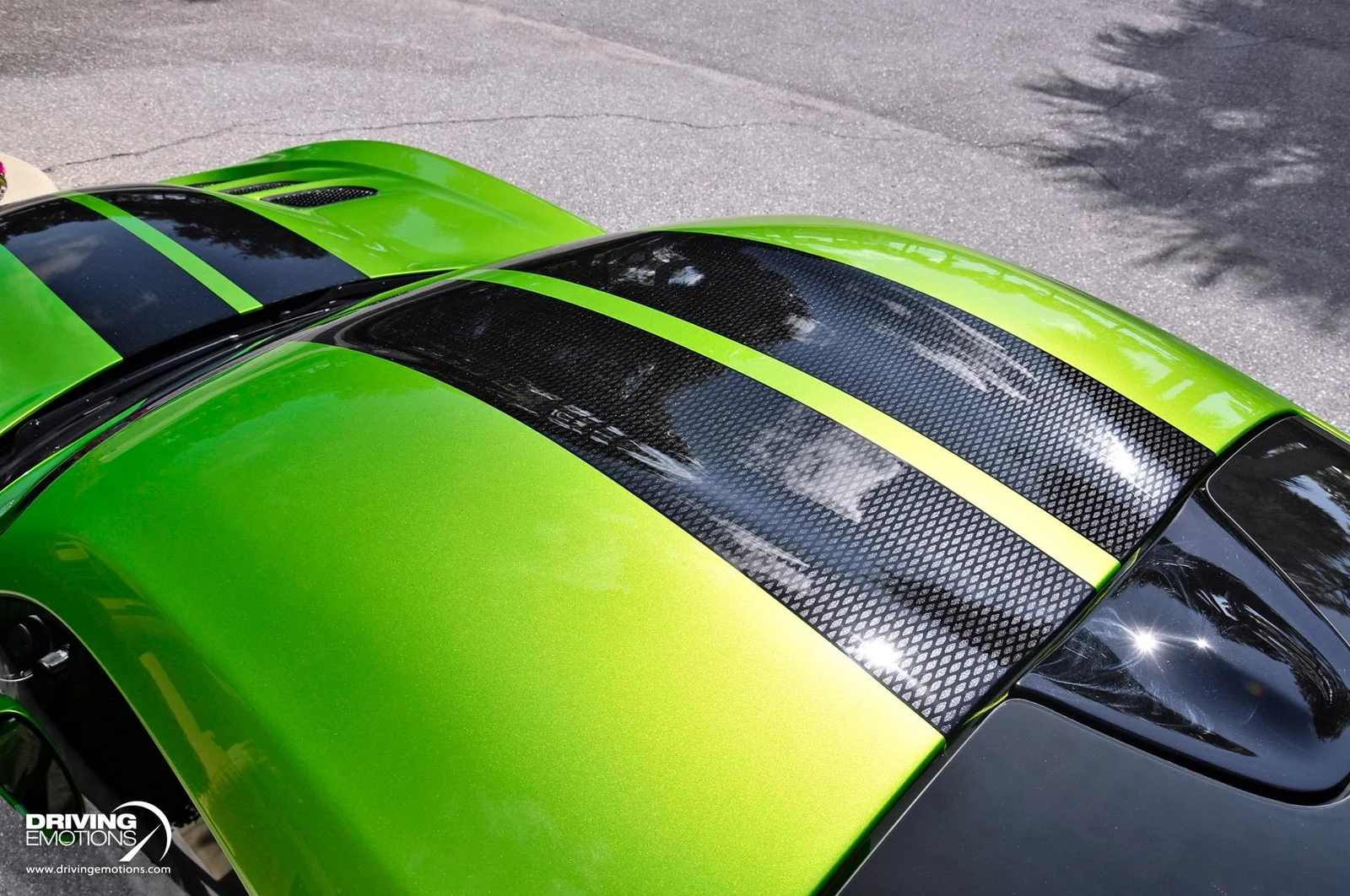 2017 Dodge Viper GTC Snakeskin Edition (VX I), 13/20