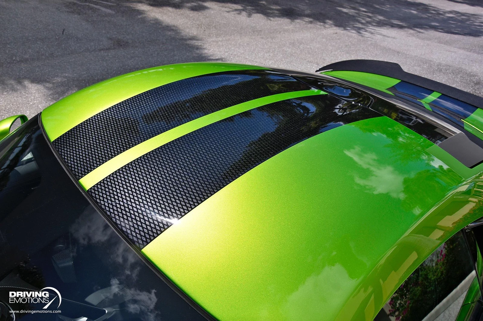 2017 Dodge Viper GTC Snakeskin Edition (VX I), 14/20