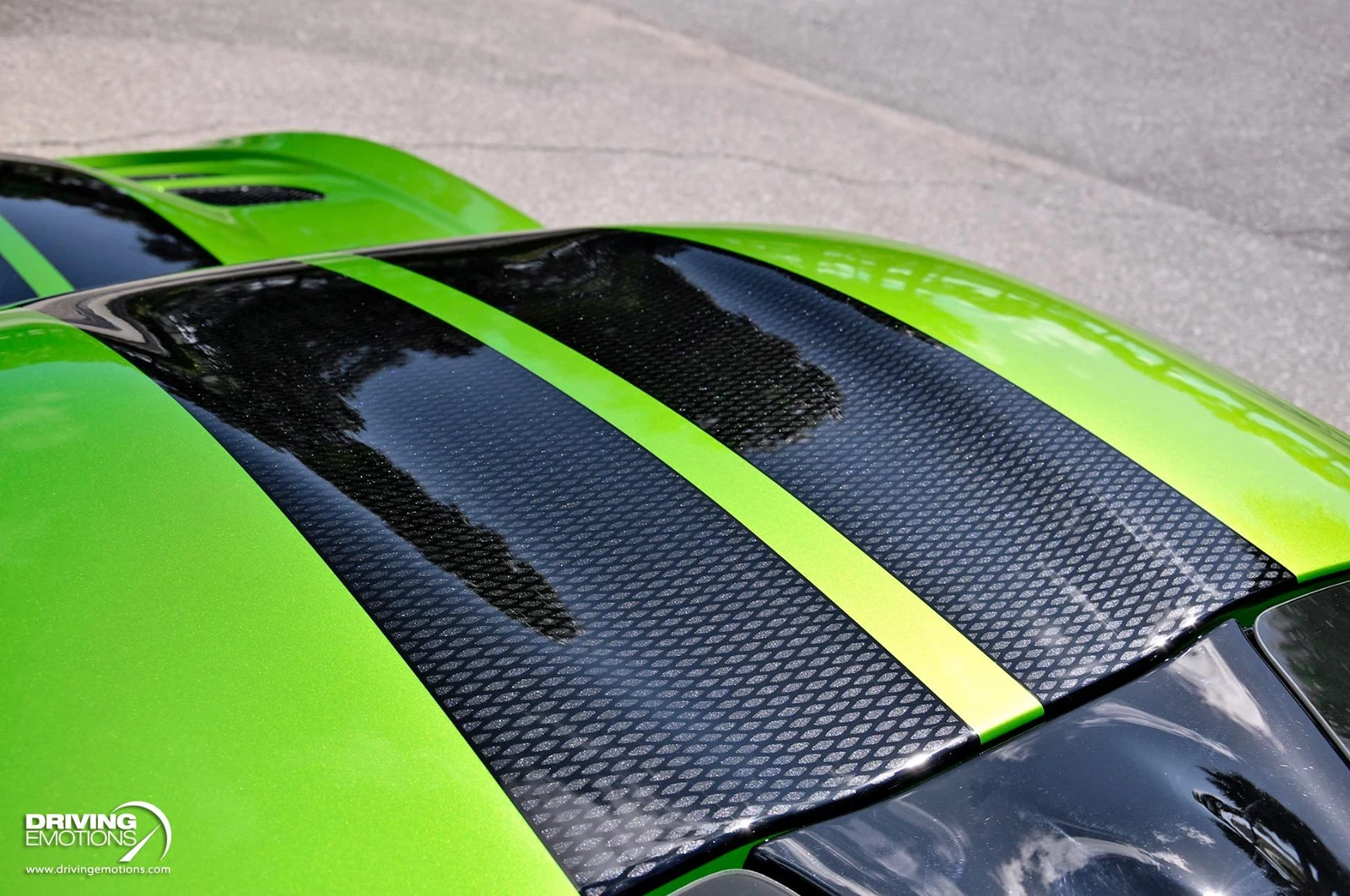 2017 Dodge Viper GTC Snakeskin Edition (VX I), 17/20