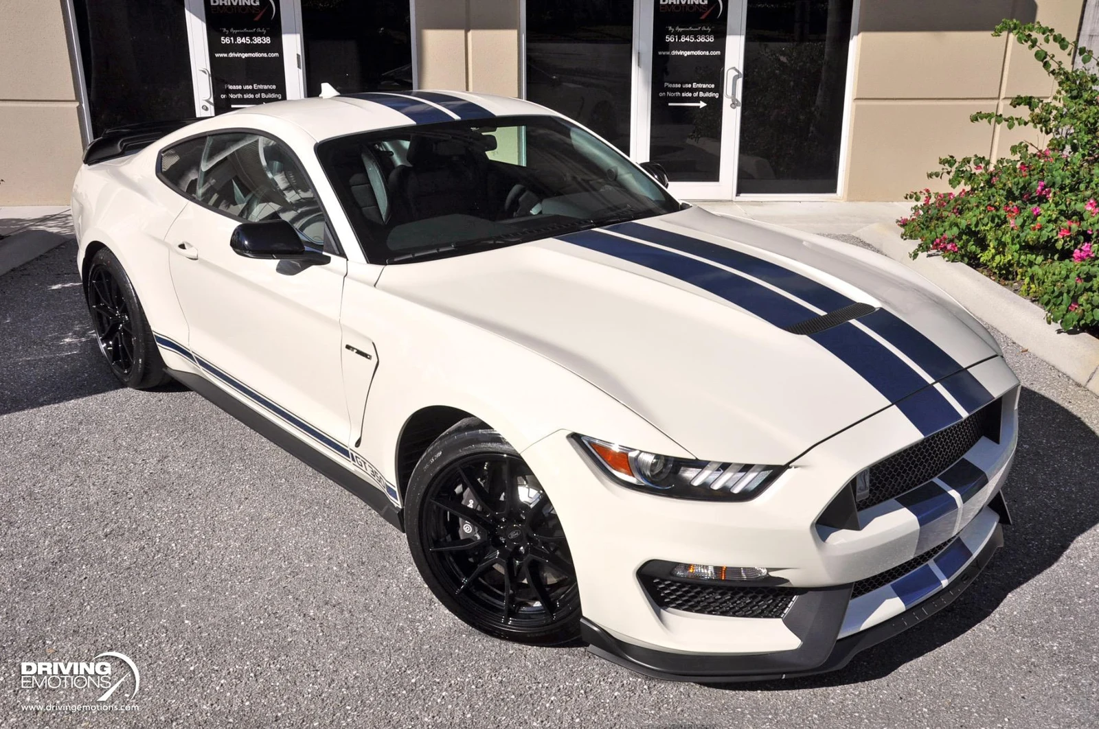 2020 Ford Mustang Shelby GT350 Heritage Edition, 2/20