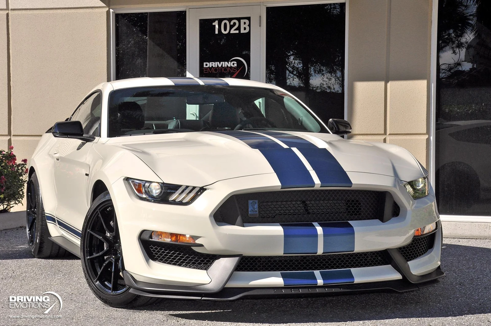 2020 Ford Mustang Shelby GT350 Heritage Edition, 4/20