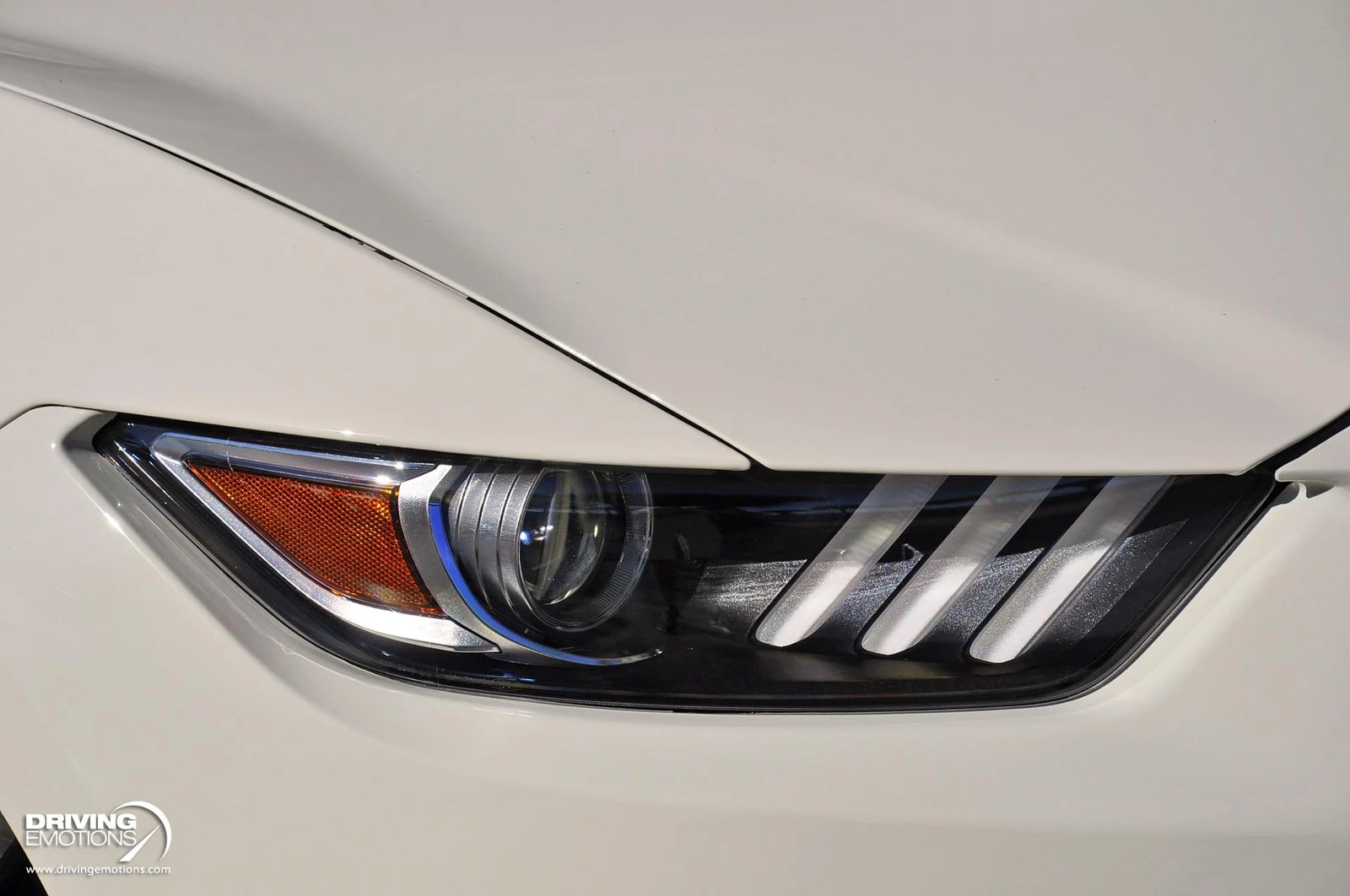 2020 Ford Mustang Shelby GT350 Heritage Edition, 5/20