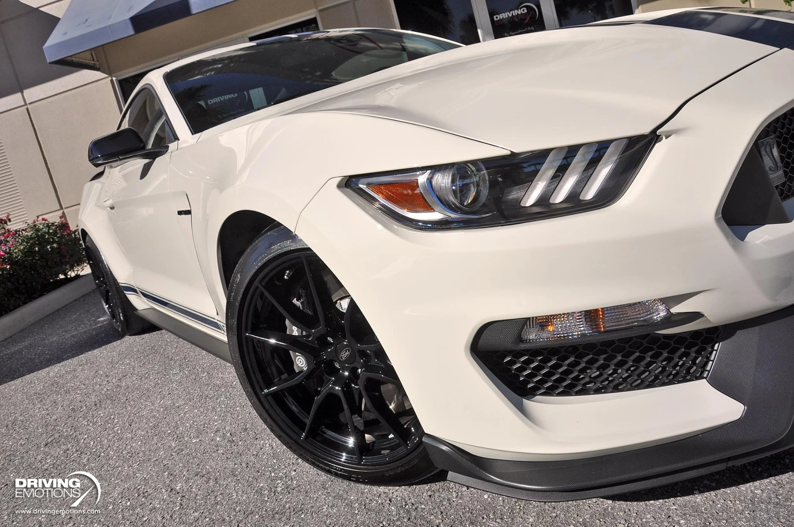 2020 Ford Mustang Shelby GT350 Heritage Edition, 9/20