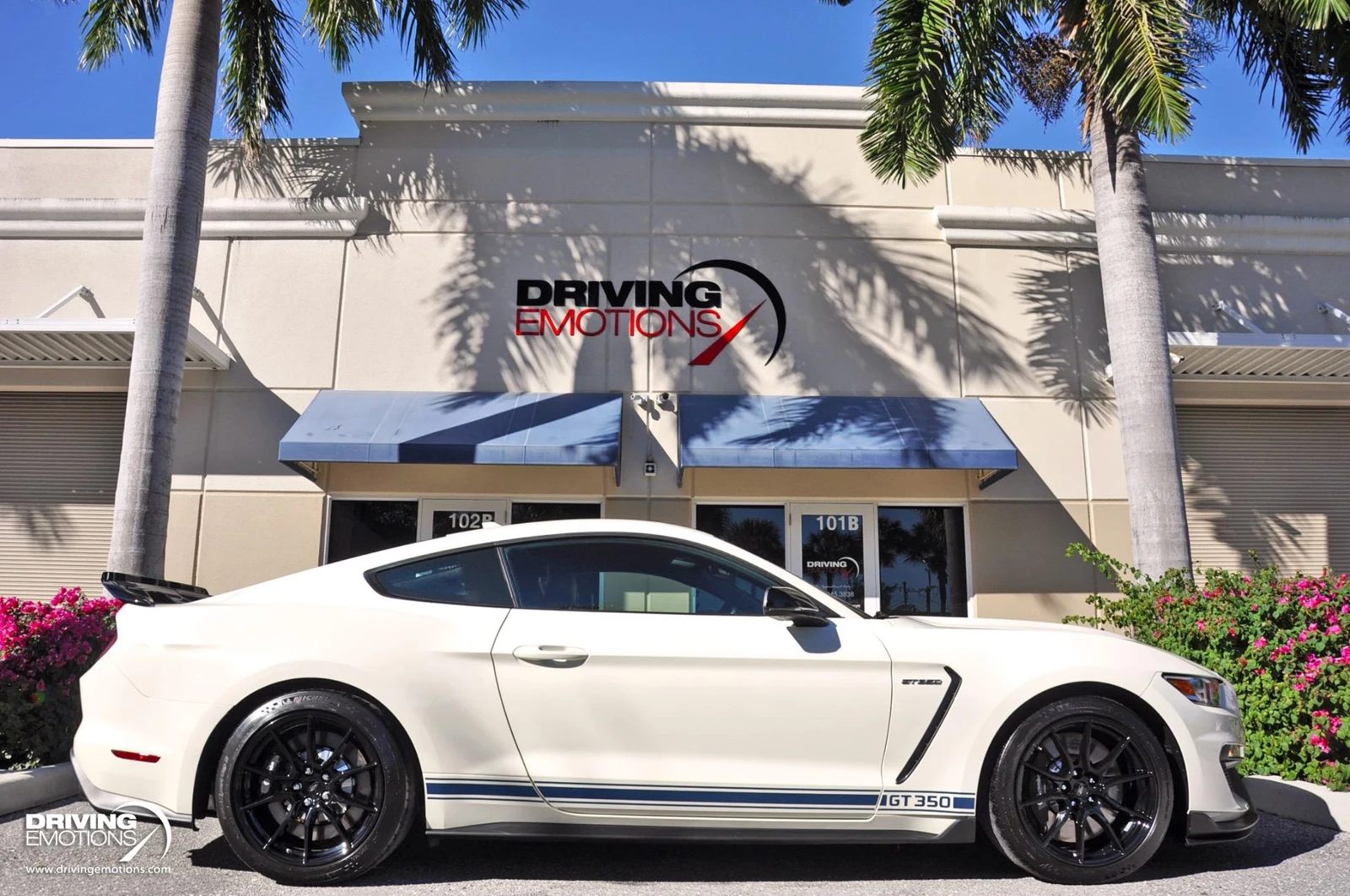 2020 Ford Mustang Shelby GT350 Heritage Edition, 11/20