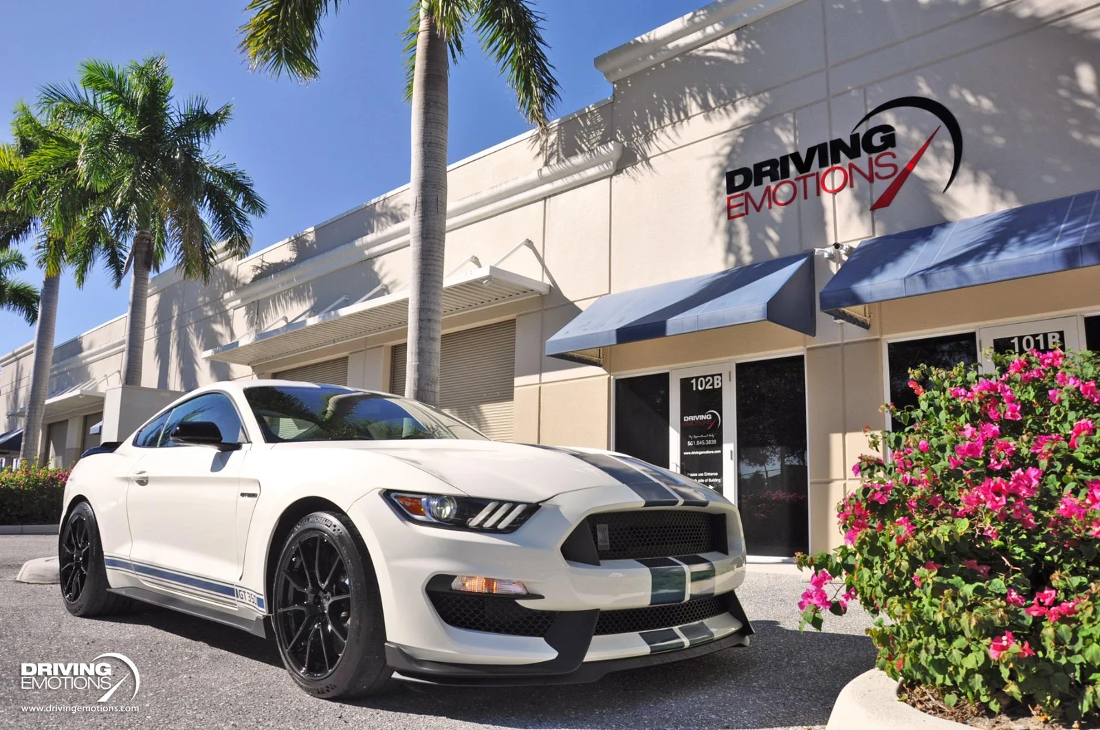 2020 Ford Mustang Shelby GT350 Heritage Edition, 16/20