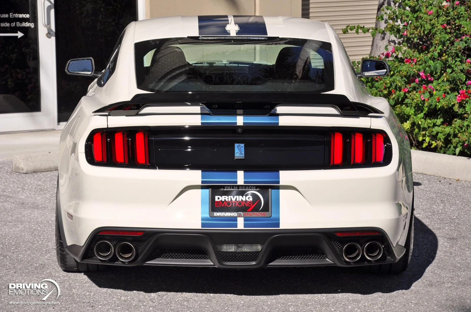 2020 Ford Mustang Shelby GT350 Heritage Edition, 19/20