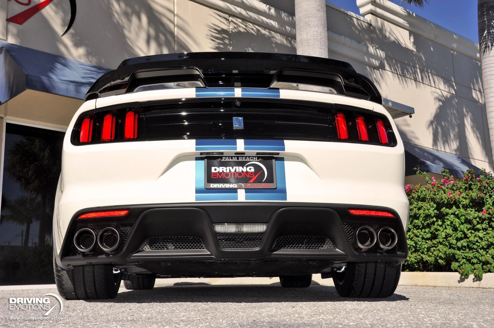 2020 Ford Mustang Shelby GT350 Heritage Edition, 20/20