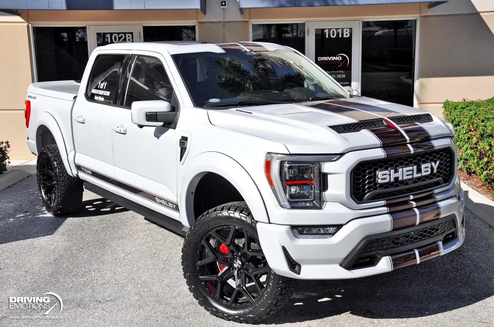 2021 Ford F-150 Shelby Super Snake, 2/30