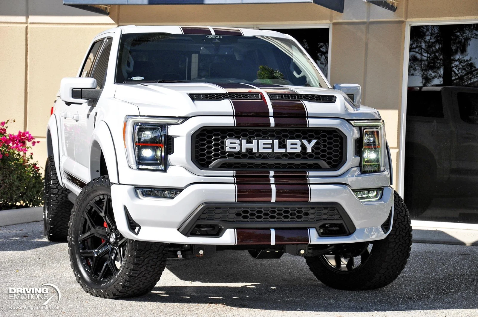 2021 Ford F-150 Shelby Super Snake, 4/30