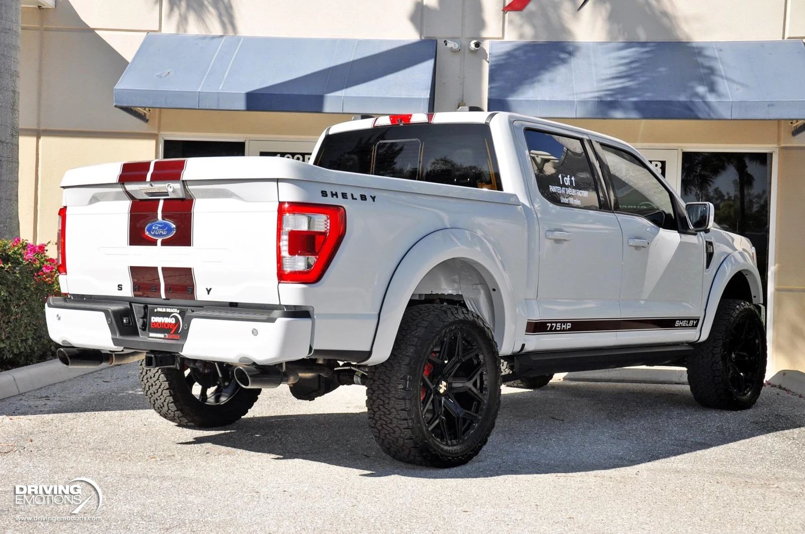 2021 Ford F-150 Shelby Super Snake, 5/30