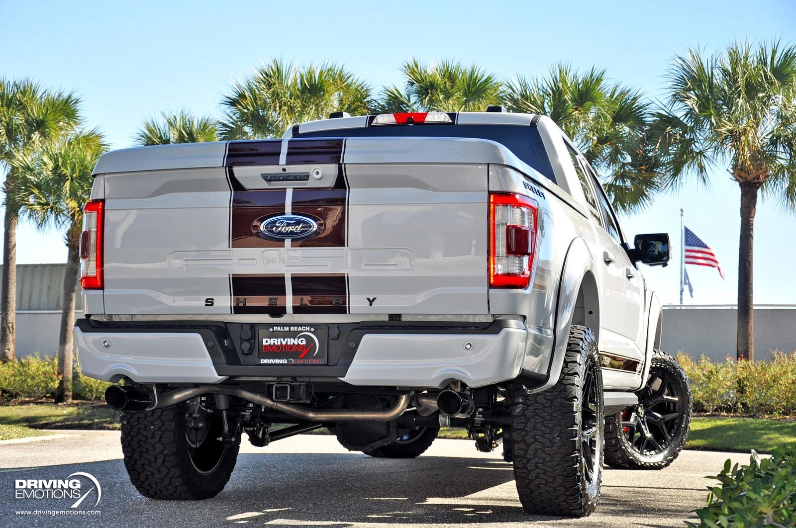 2021 Ford F-150 Shelby Super Snake, 13/30