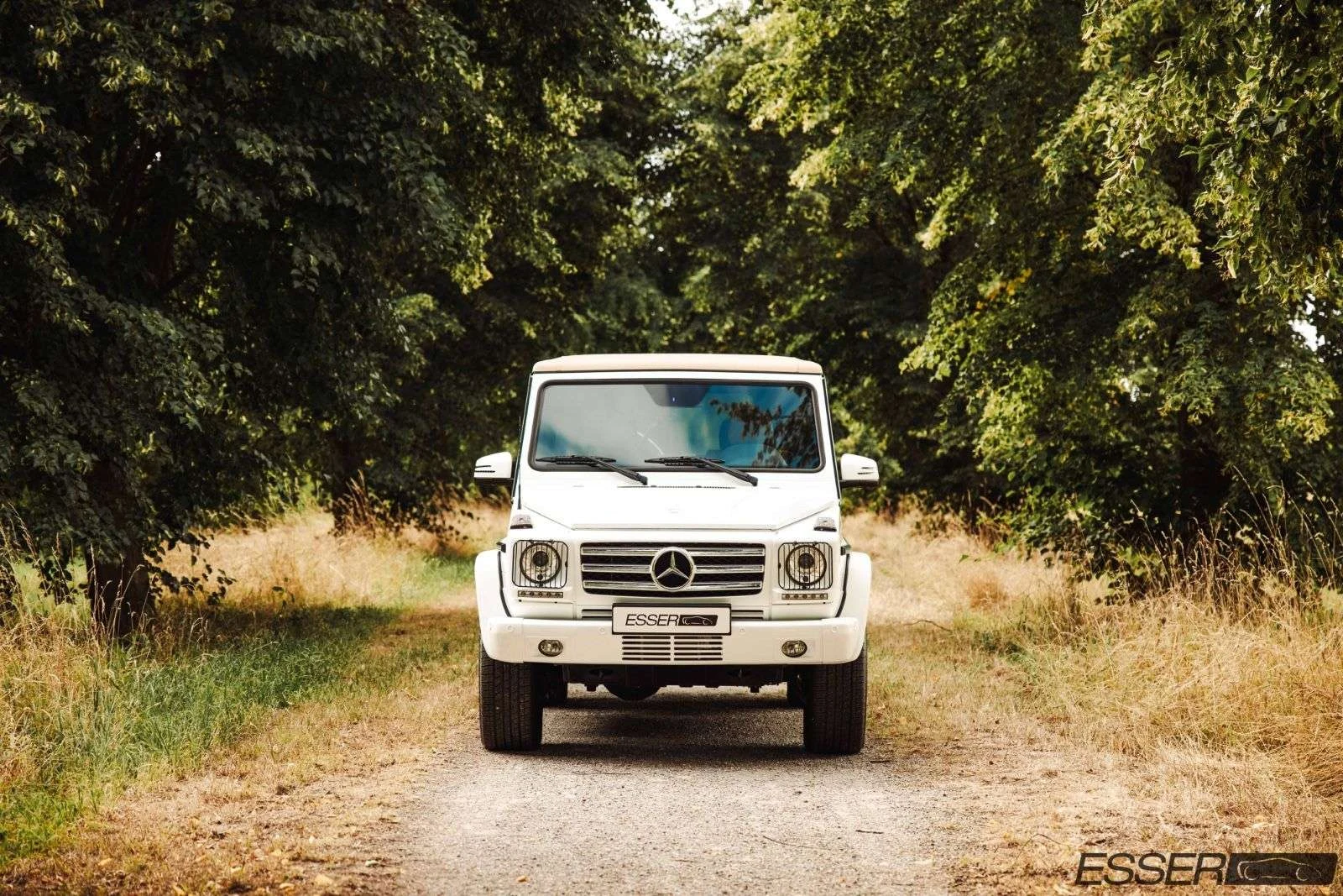 Mercedes-Benz G 500 Cabriolet Final Edition 200, 2/10