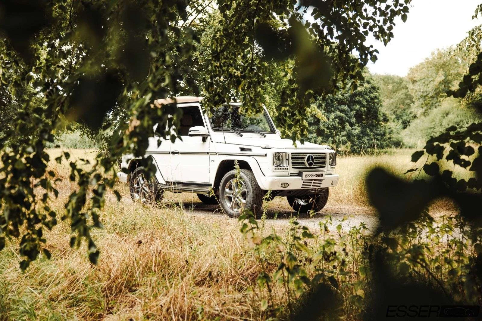 Mercedes-Benz G 500 Cabriolet Final Edition 200, 3/10