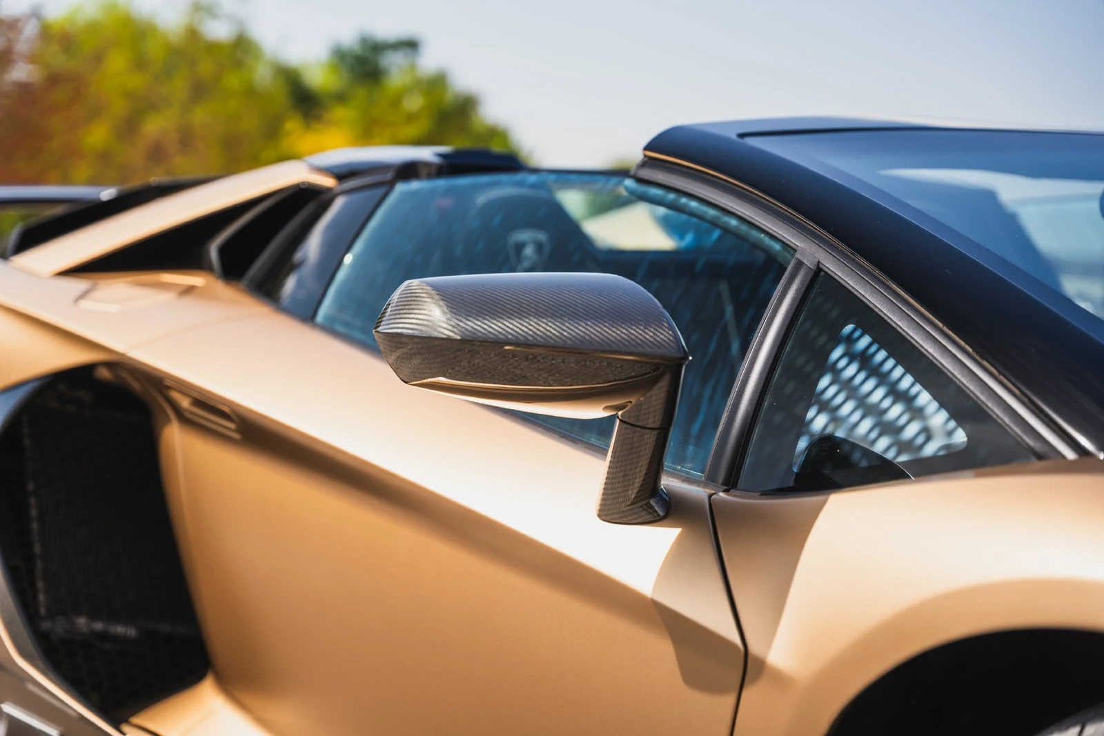 2021 Lamborghini Aventador SVJ Roadster, 11/29