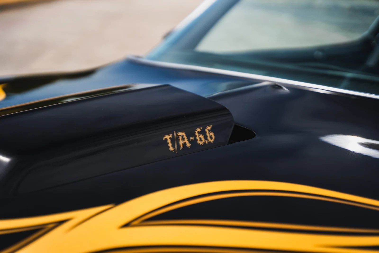 1977 Pontiac Firebird Trans Am (2nd Generation), 13/30