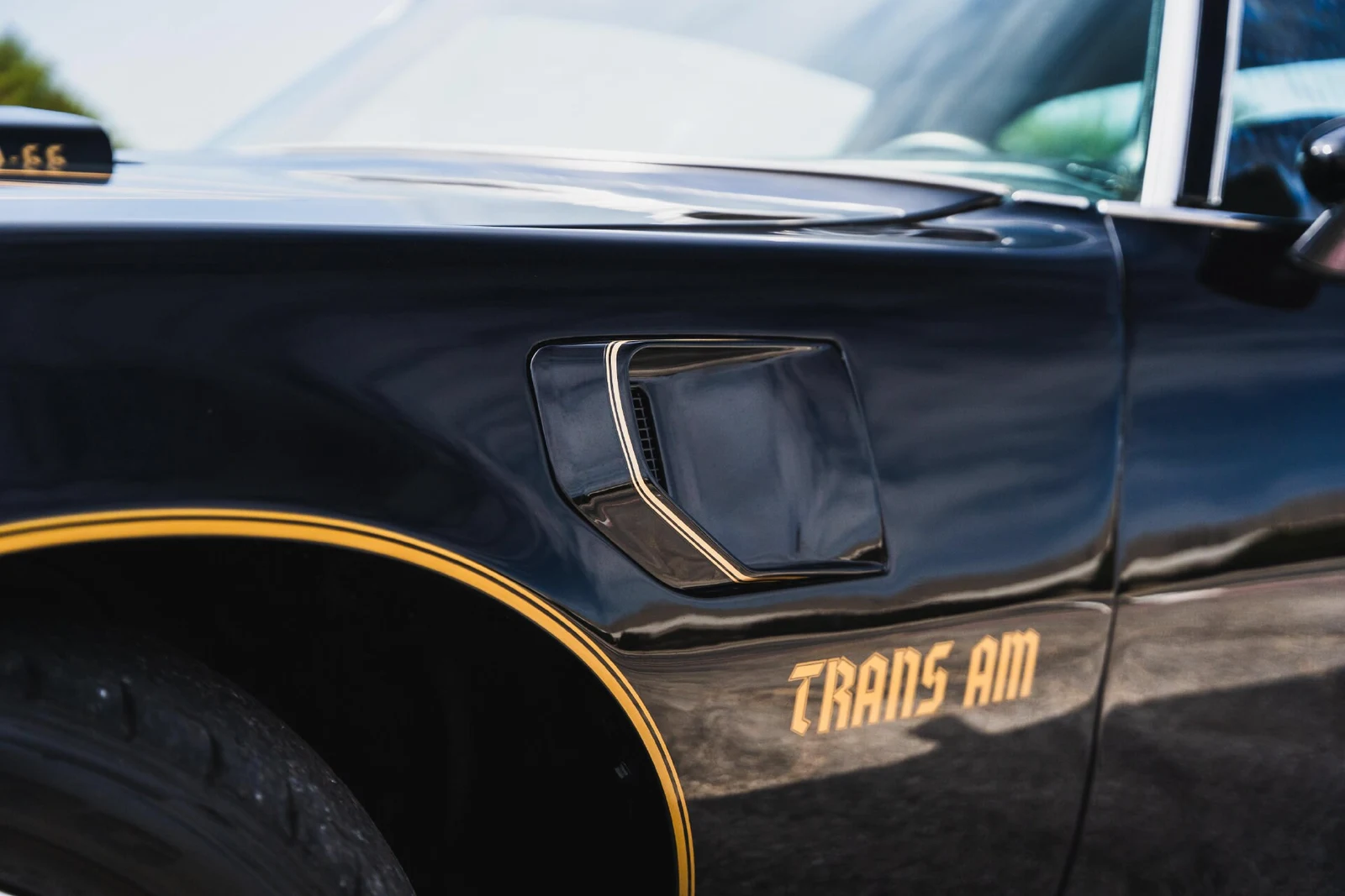 1977 Pontiac Firebird Trans Am (2nd Generation), 14/30