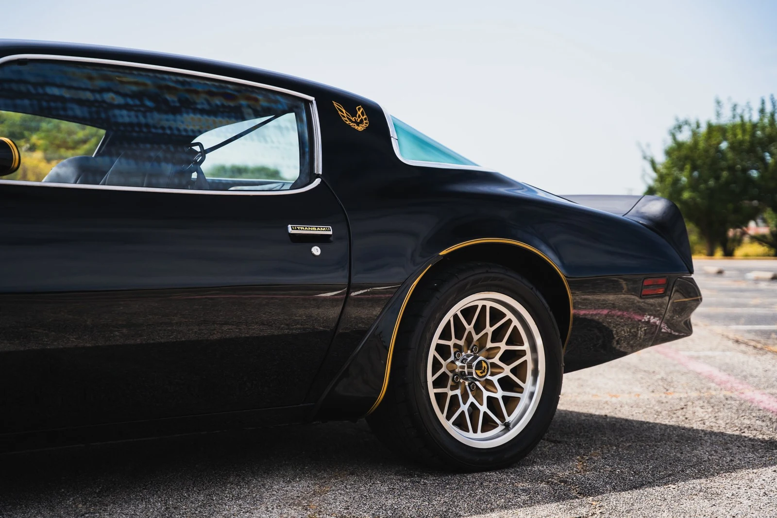 1977 Pontiac Firebird Trans Am (2nd Generation), 17/30
