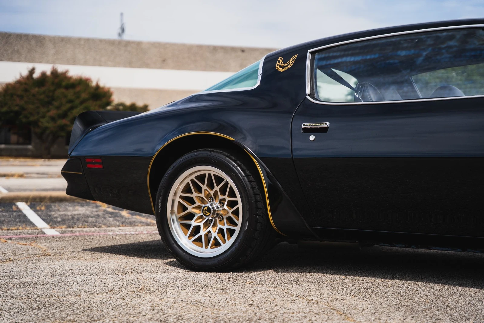 1977 Pontiac Firebird Trans Am (2nd Generation), 29/30