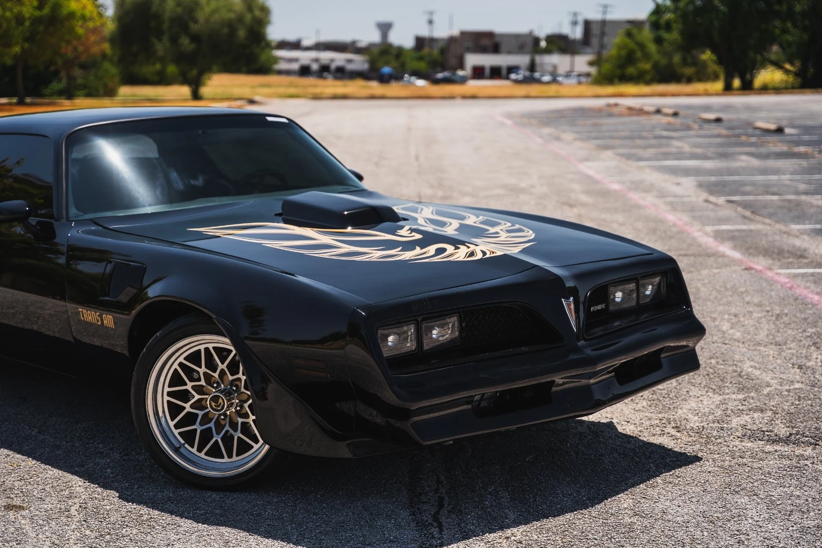 1978 Pontiac Firebird Trans Am (2nd Generation), 5/28