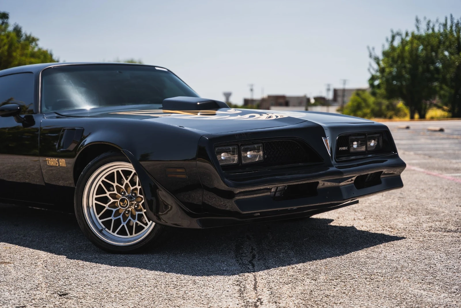 1978 Pontiac Firebird Trans Am (2nd Generation), 6/28