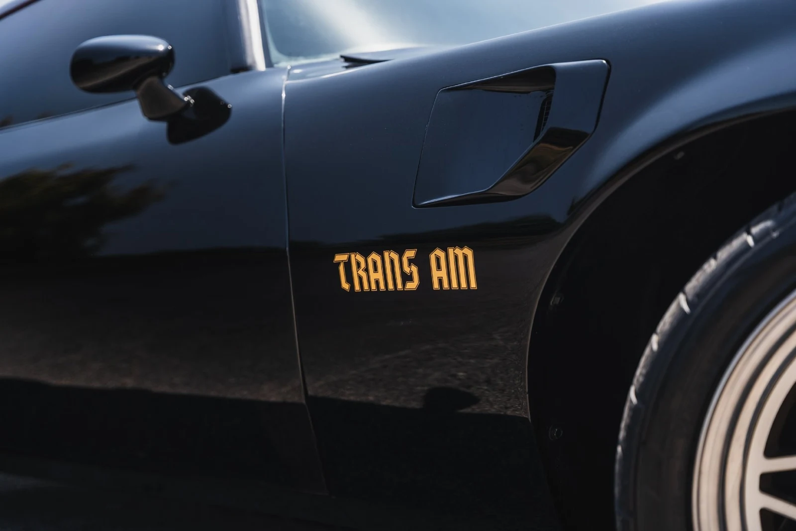1978 Pontiac Firebird Trans Am (2nd Generation), 8/28
