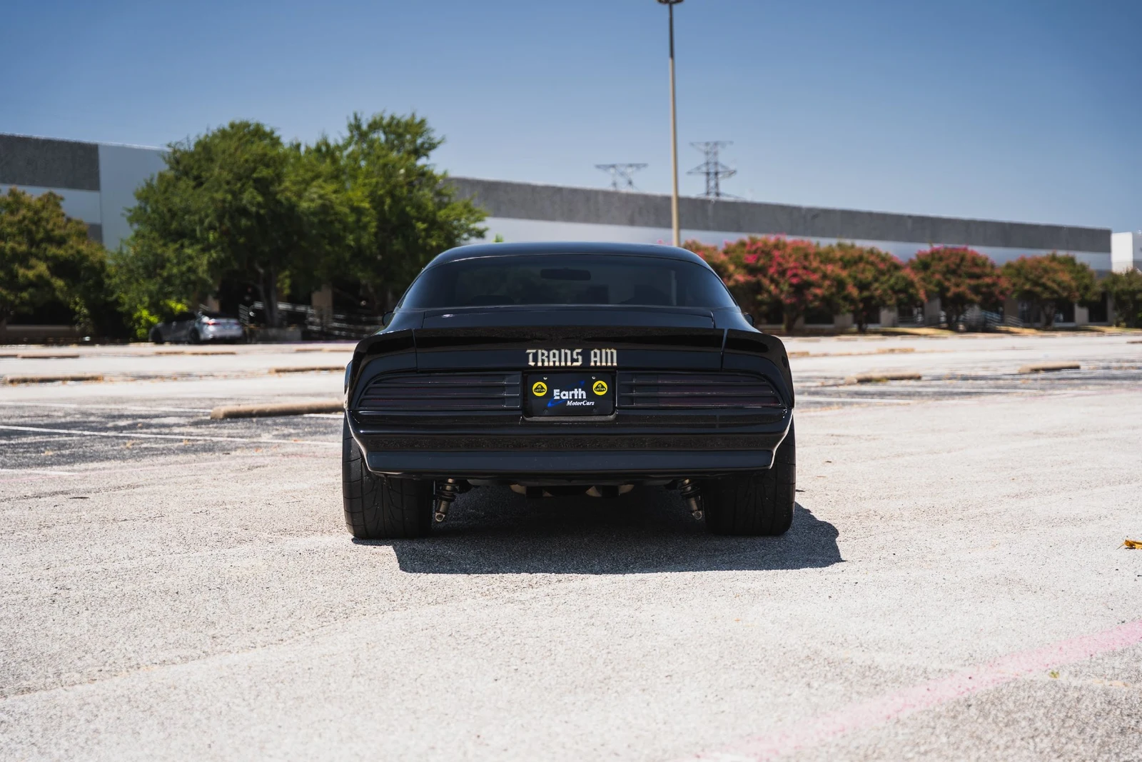1978 Pontiac Firebird Trans Am (2nd Generation), 12/28