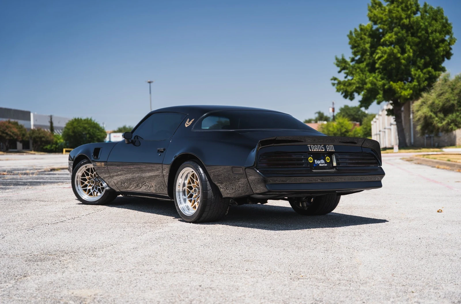 1978 Pontiac Firebird Trans Am (2nd Generation), 13/28