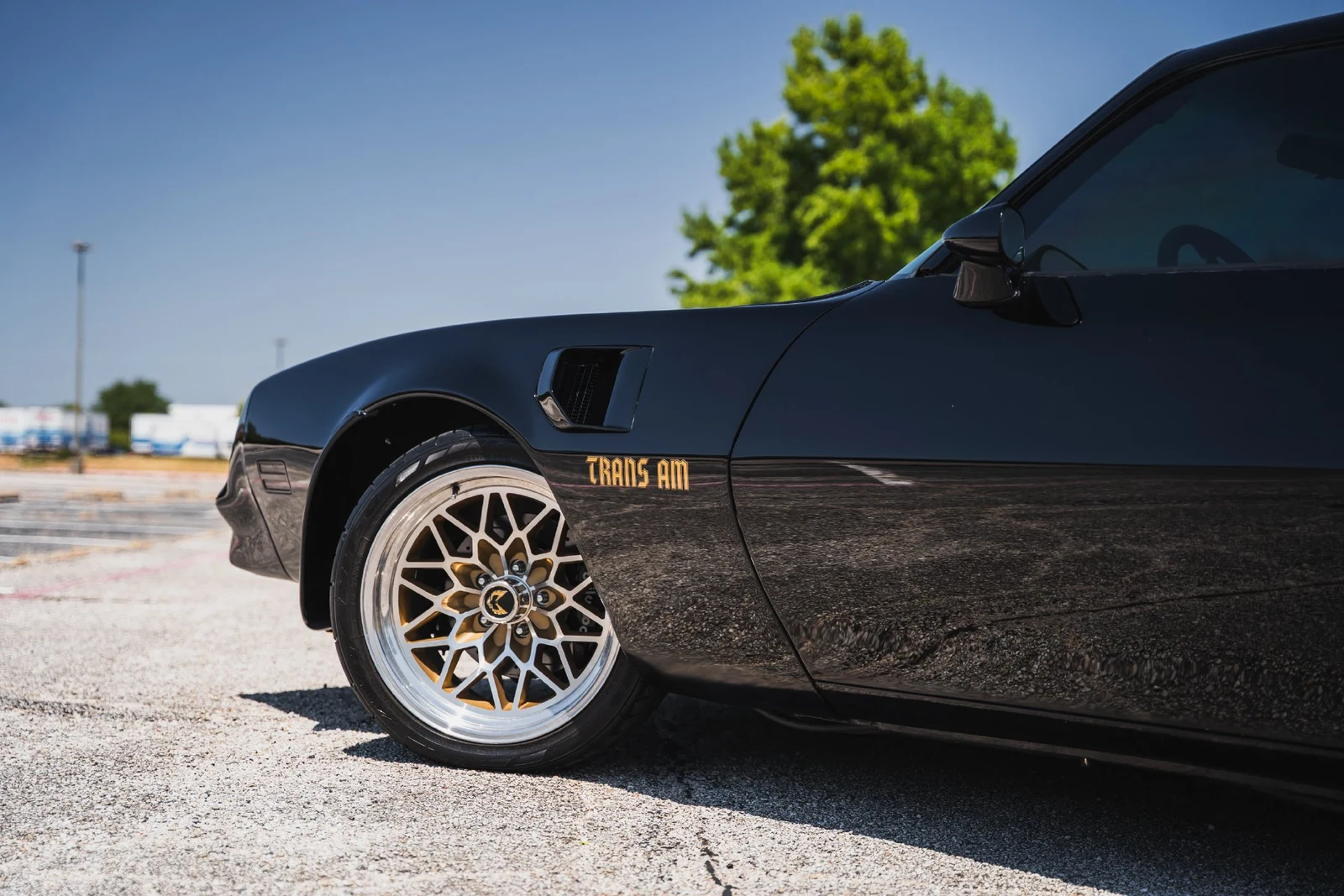 1978 Pontiac Firebird Trans Am (2nd Generation), 16/28