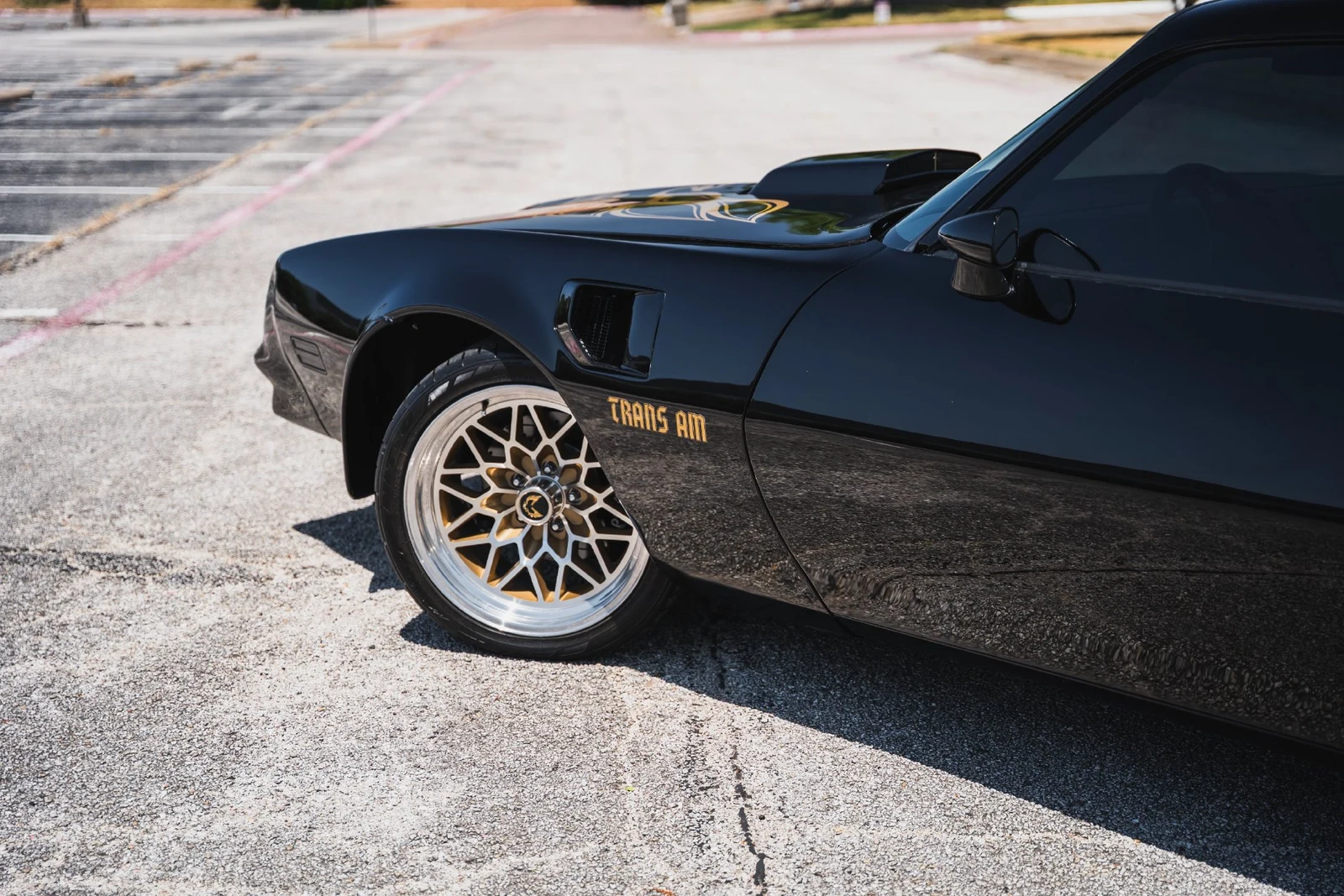 1978 Pontiac Firebird Trans Am (2nd Generation), 17/28
