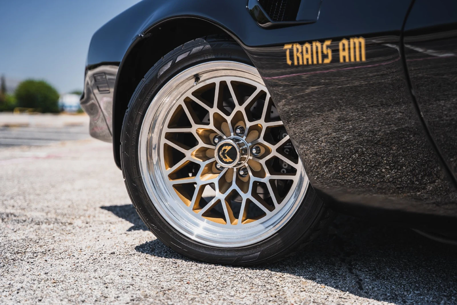 1978 Pontiac Firebird Trans Am (2nd Generation), 18/28