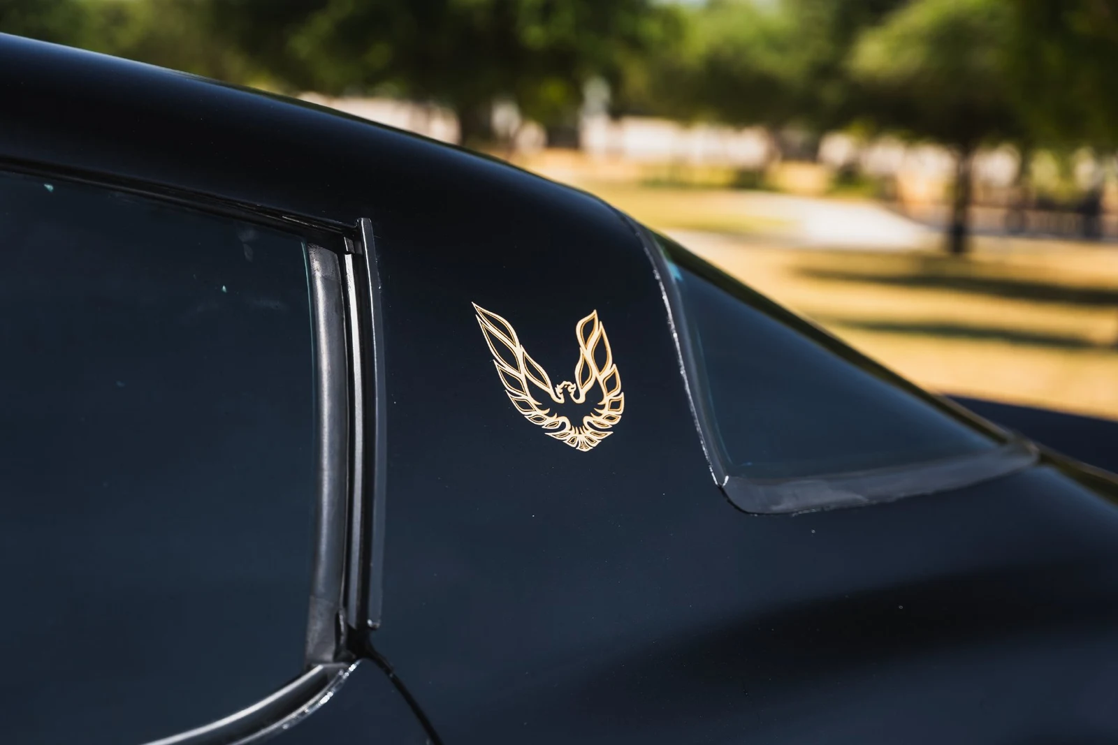 1978 Pontiac Firebird Trans Am (2nd Generation), 20/28