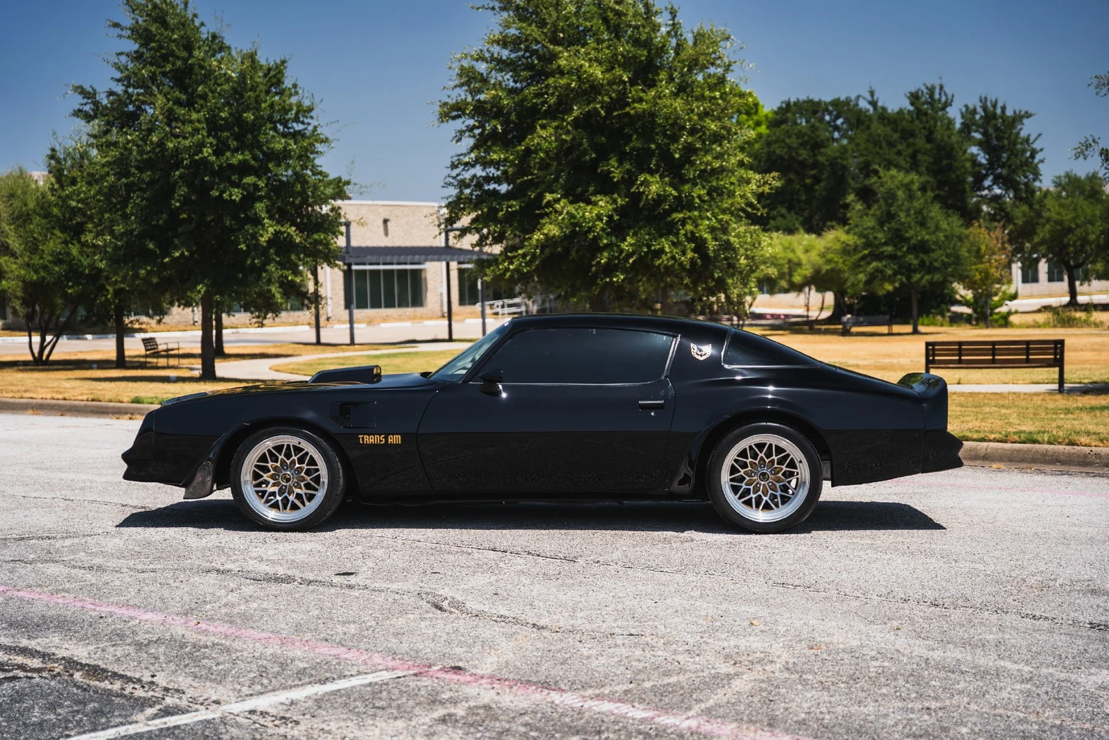 1978 Pontiac Firebird Trans Am (2nd Generation), 23/28