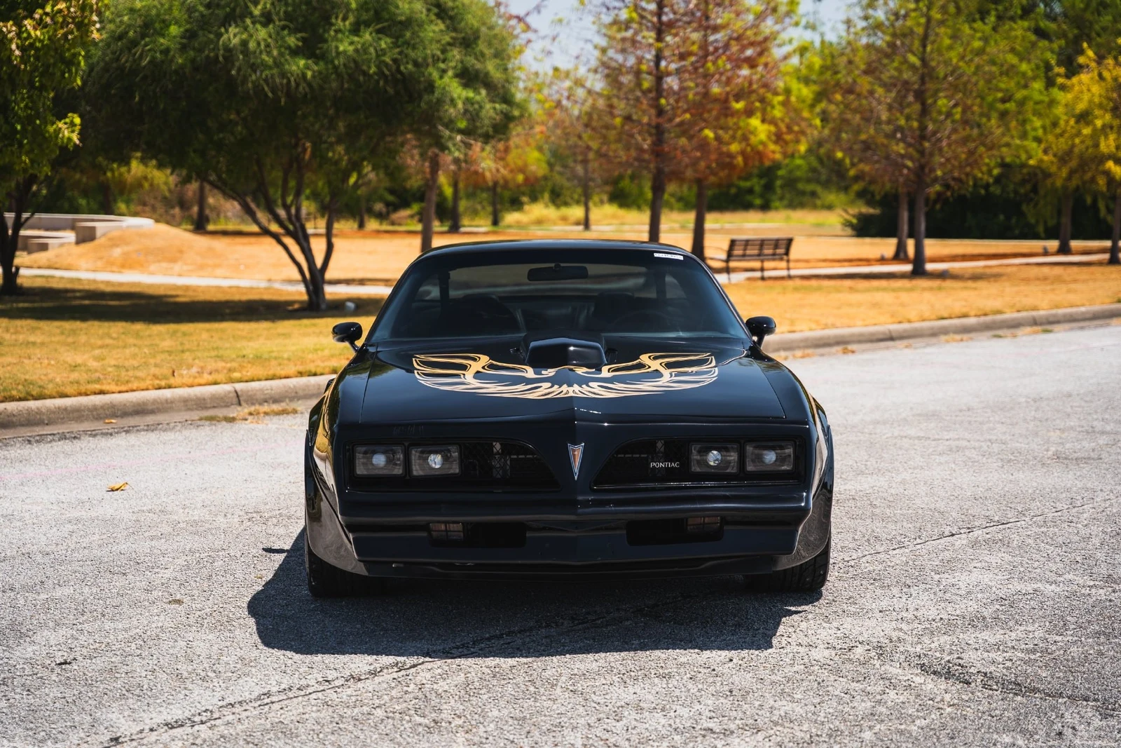 1978 Pontiac Firebird Trans Am (2nd Generation), 24/28