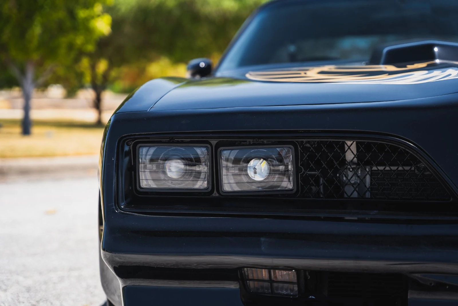 1978 Pontiac Firebird Trans Am (2nd Generation), 25/28
