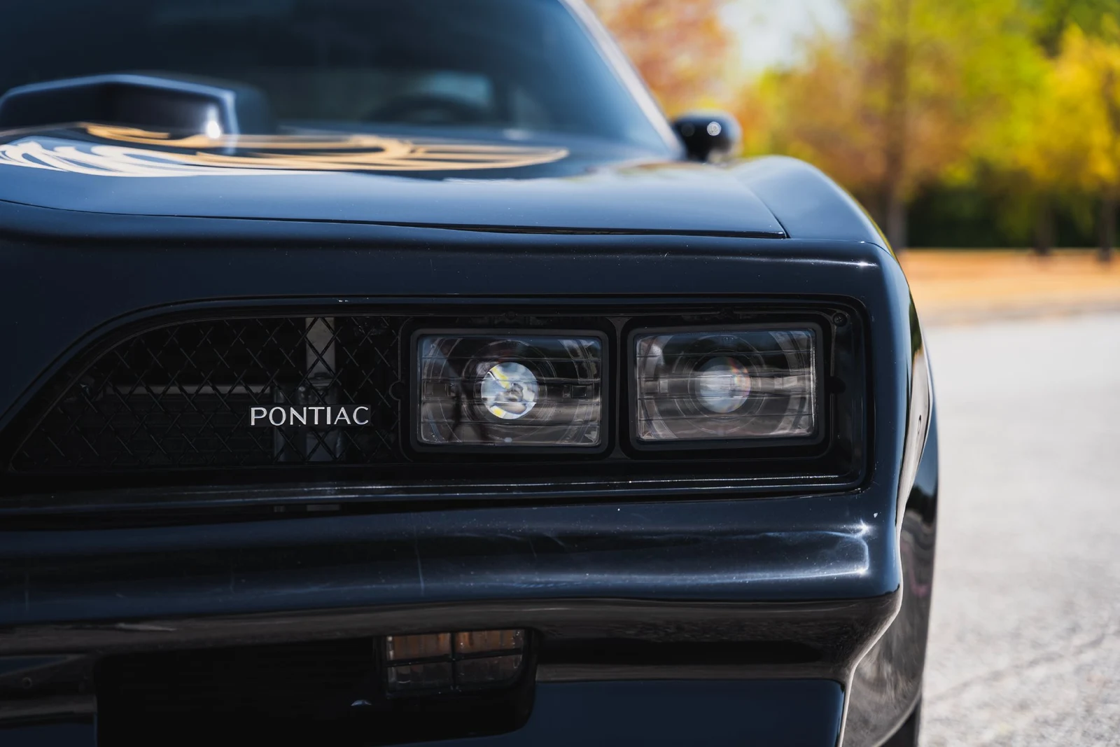 1978 Pontiac Firebird Trans Am (2nd Generation), 26/28