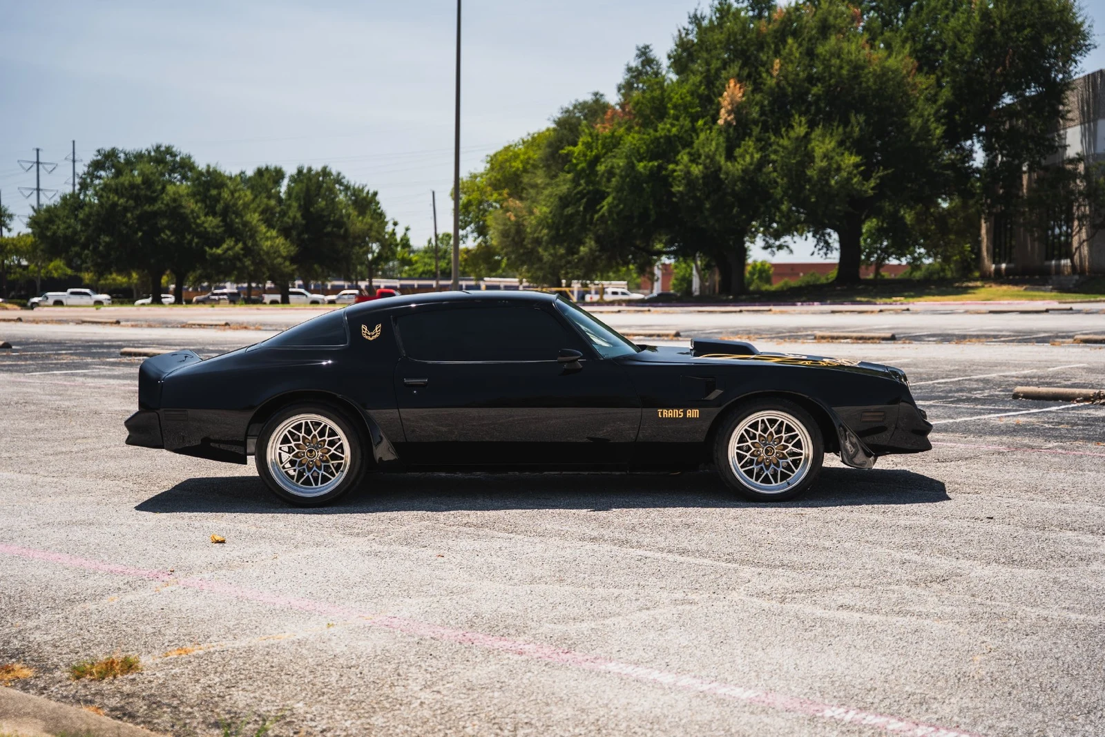 1978 Pontiac Firebird Trans Am (2nd Generation), 28/28